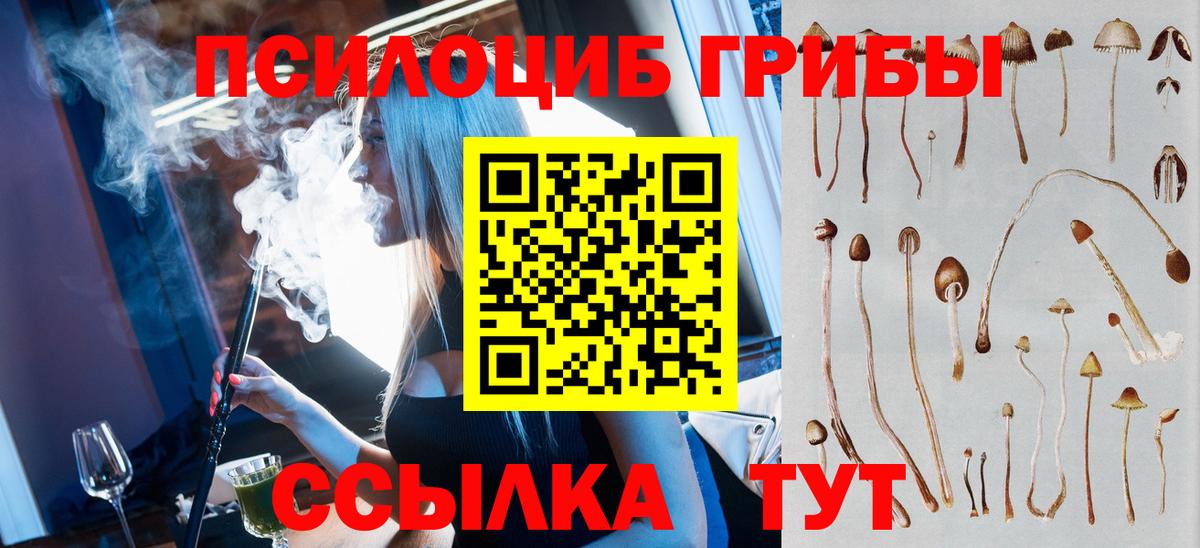 Галлюциногенные грибы мицелий Заволжье